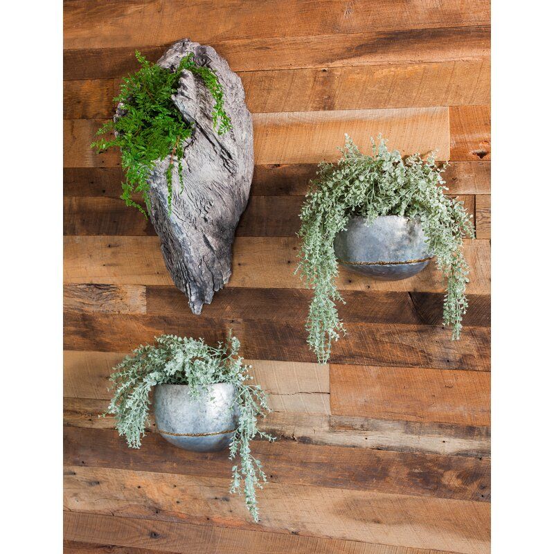 Dunigan 2 Piece Metal Wall Planter Set thumbnail 3