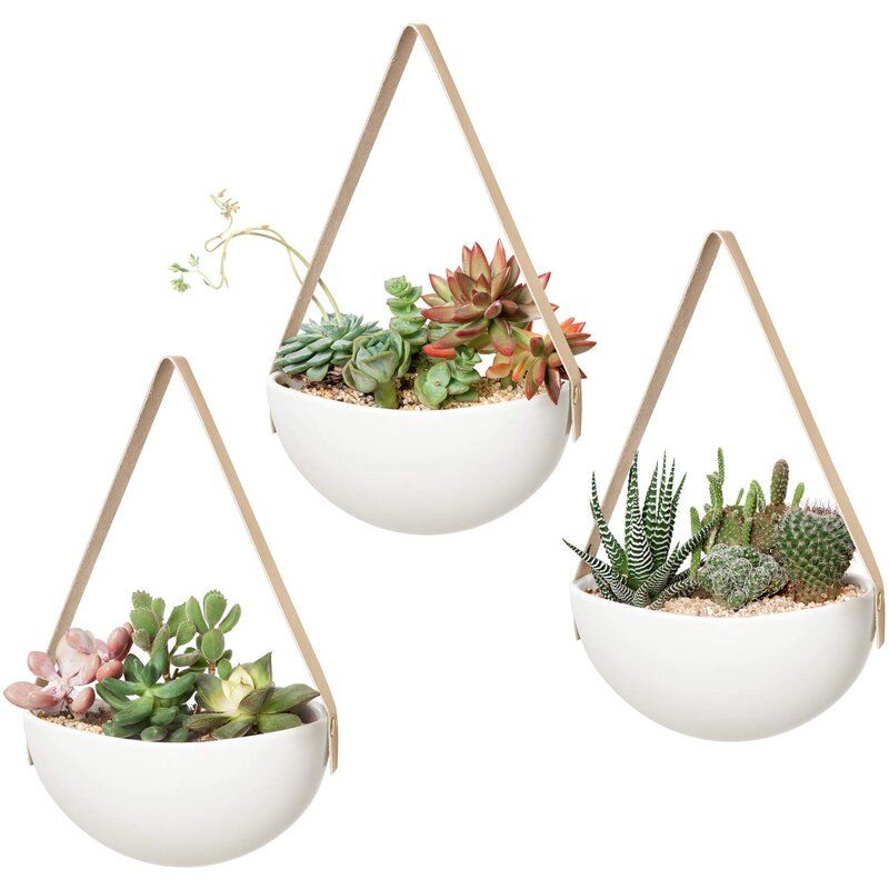 Demarr Ceramic Wall Planter thumbnail 3
