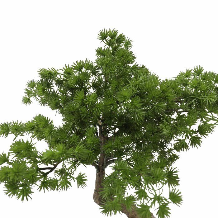 Artificial Pine Bonsai Tree in Pot thumbnail 3