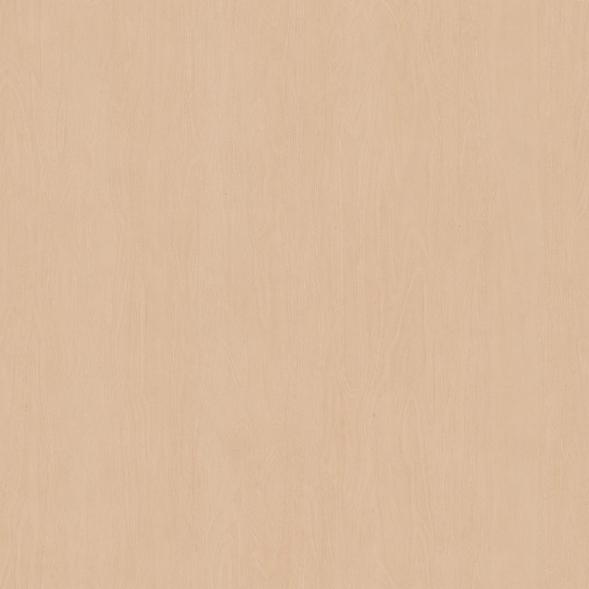 The Shelving System thumbnail 5