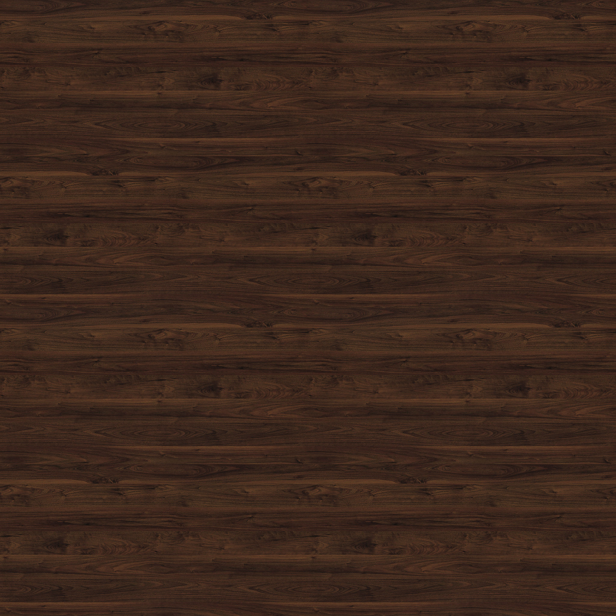 Charlotte Storage Bed-King thumbnail 5
