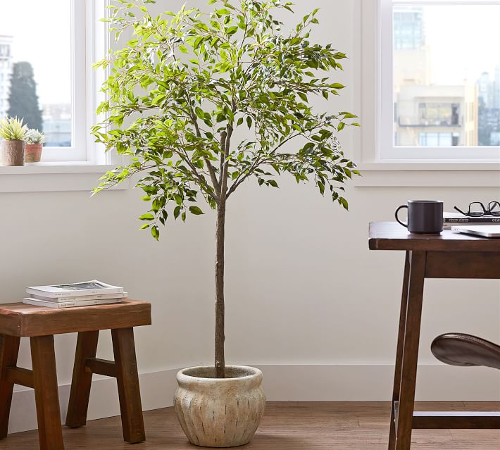 Faux Potted Triangular Ficus thumbnail 2
