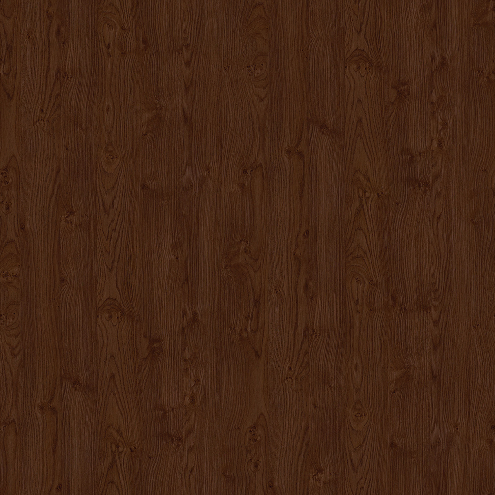 Customer Arm Chair thumbnail 3