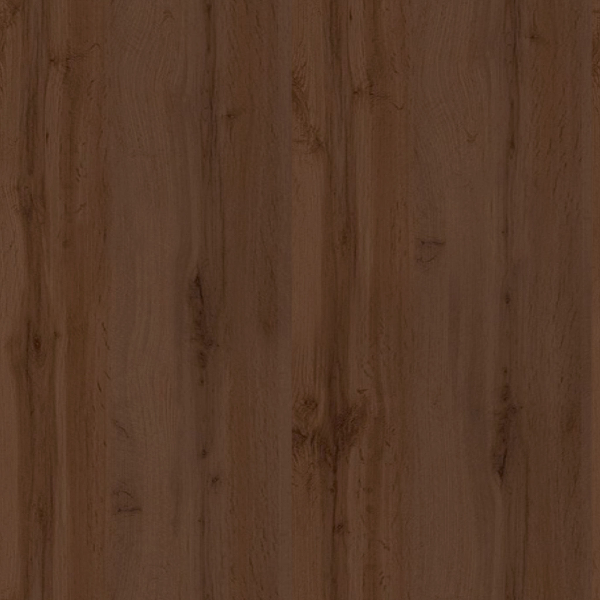 Diboll Acacia Patio Dining Armchair thumbnail 3