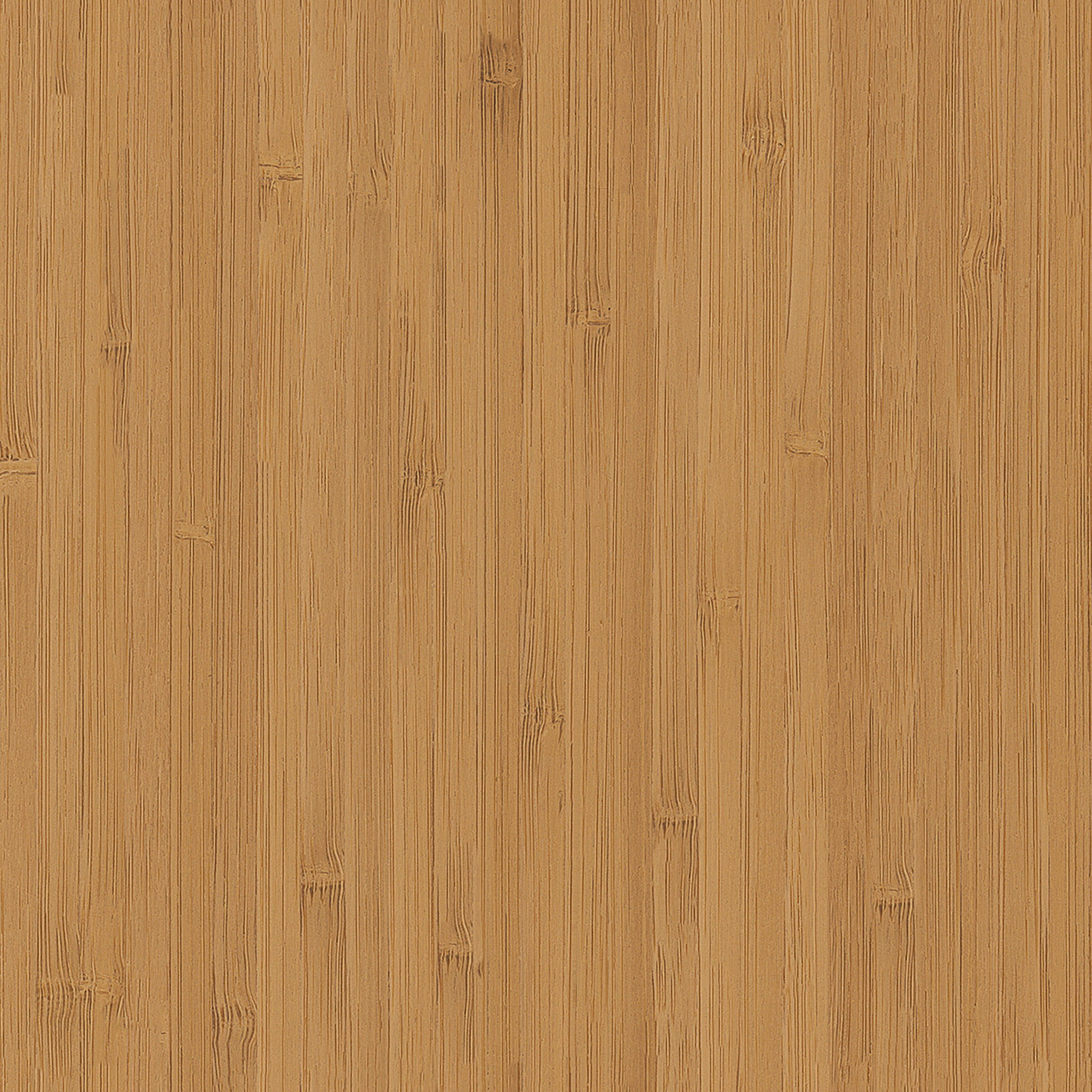 Jarvis Bamboo Standing Desk thumbnail 2