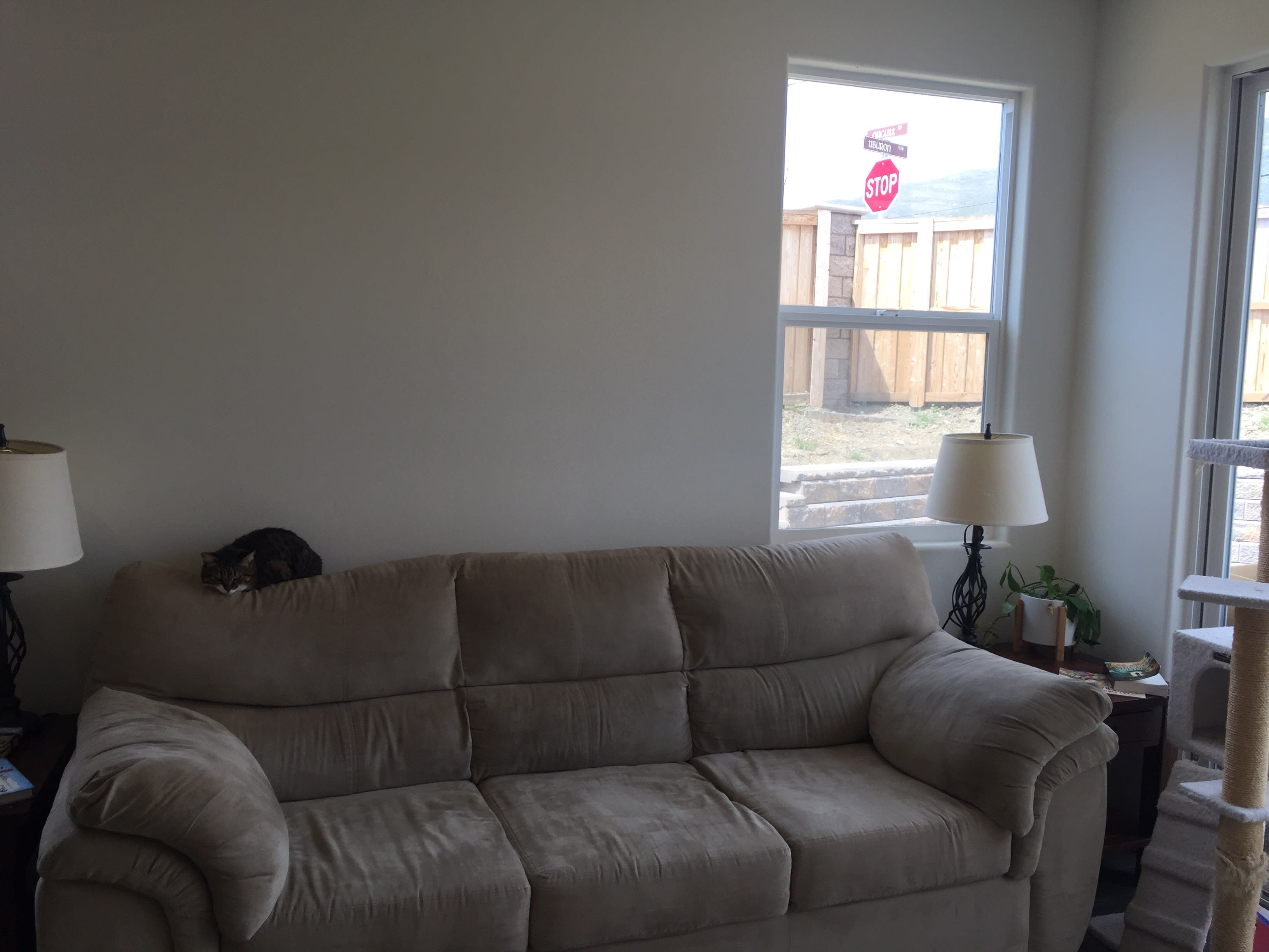 Customer Couch thumbnail 2
