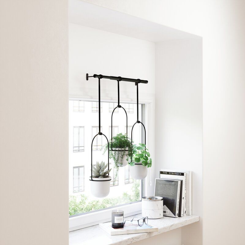 Triflora Hanging Planter thumbnail 3