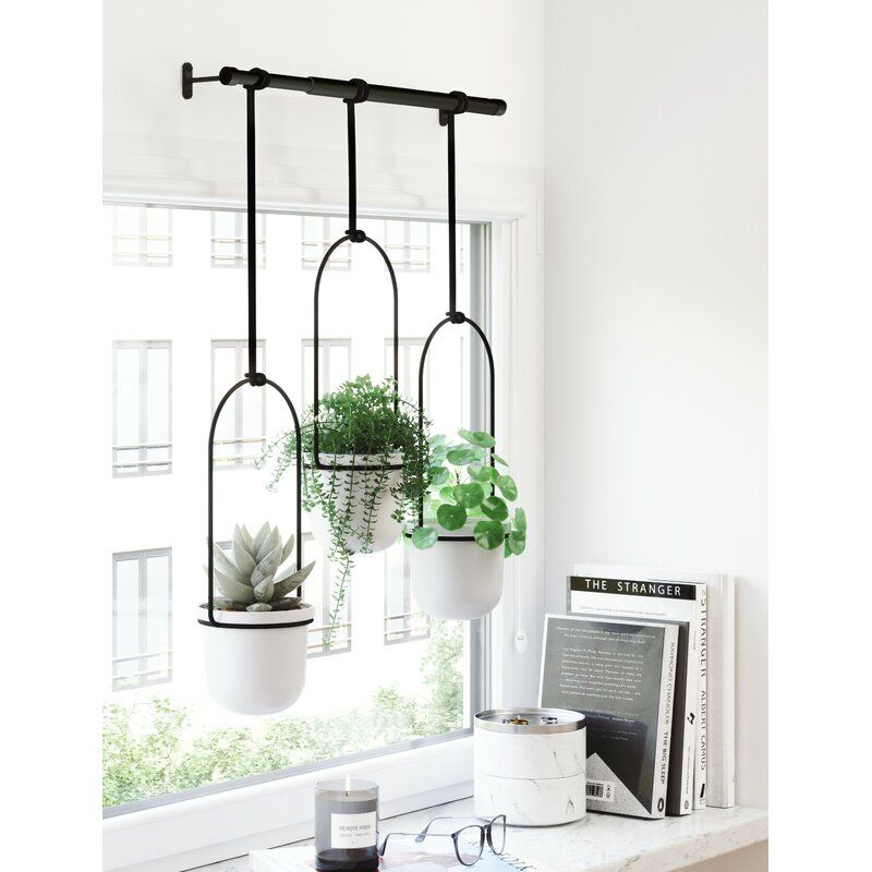Triflora Hanging Planter thumbnail 4