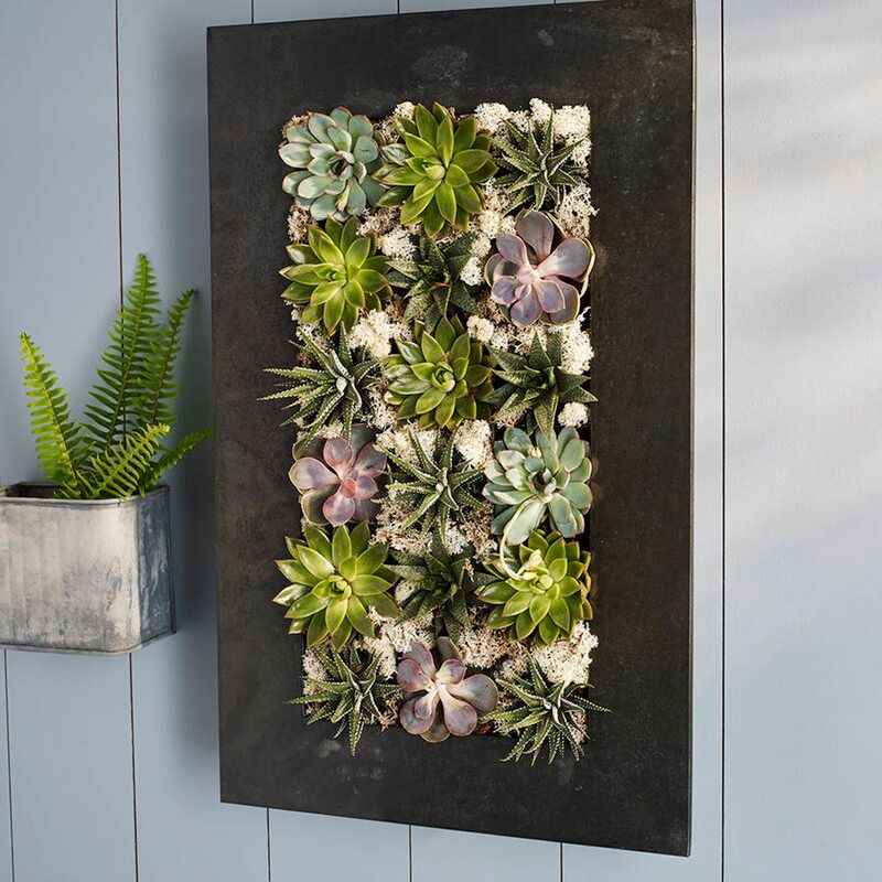 Willamette Steel Wall Planter thumbnail 2