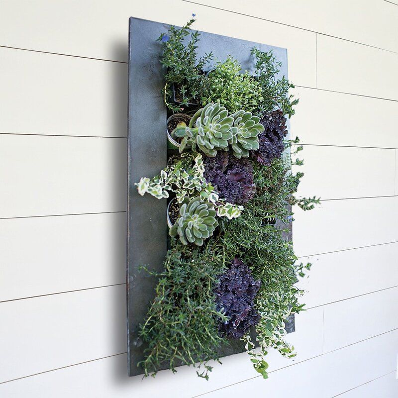 Willamette Steel Wall Planter thumbnail 3