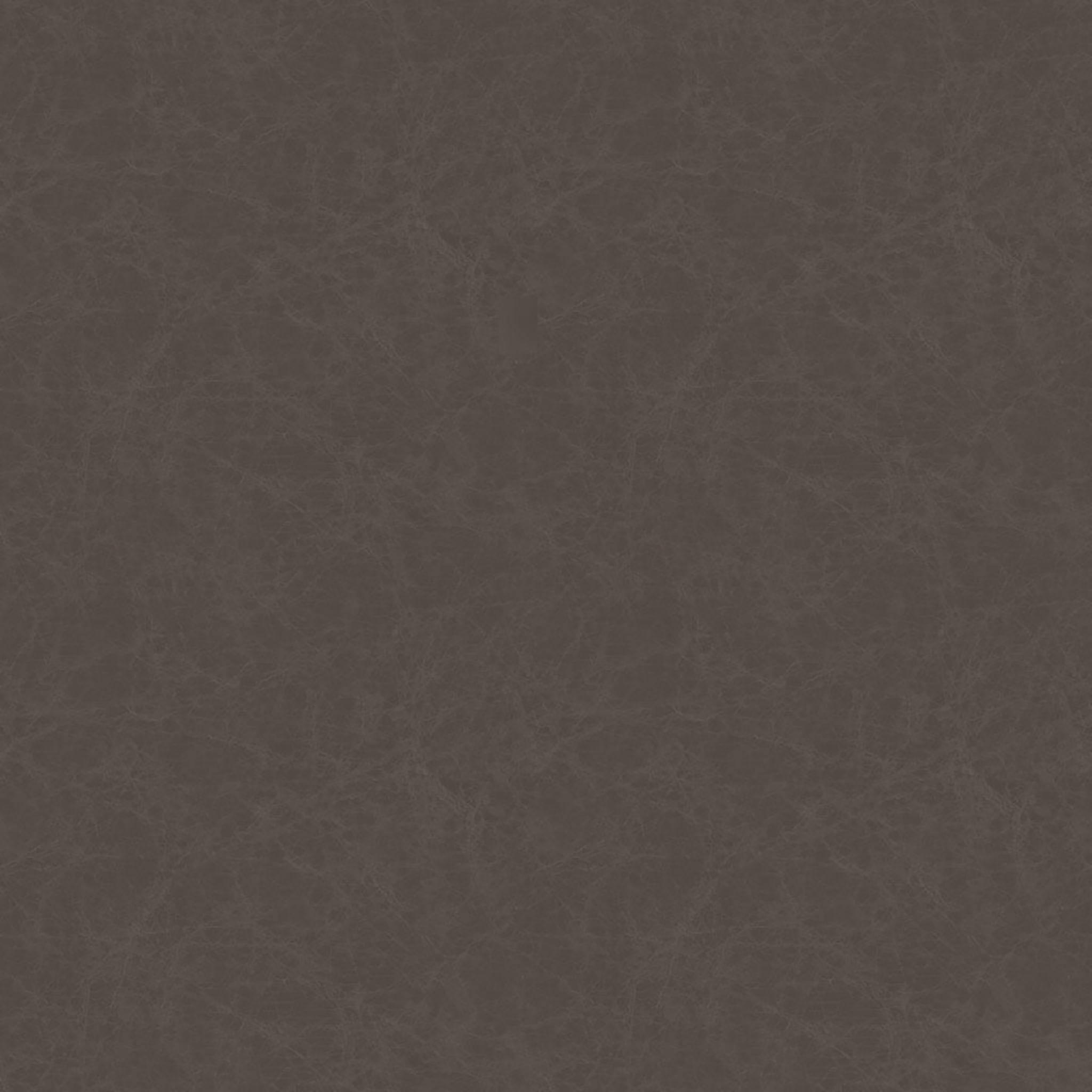Leather Backed Dining Chair thumbnail 6