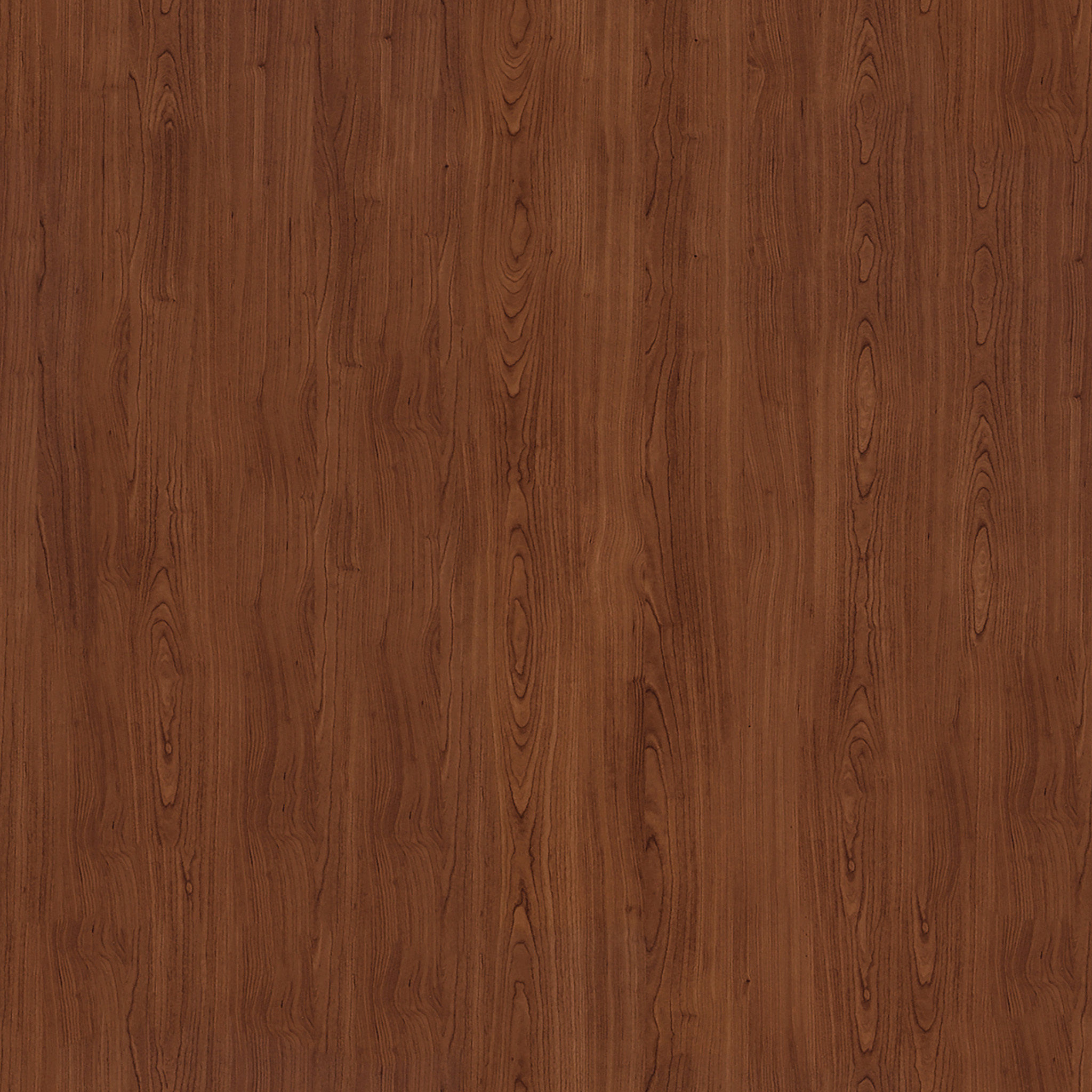 Erick 1 Drawer Nightstand in Walnut thumbnail 9