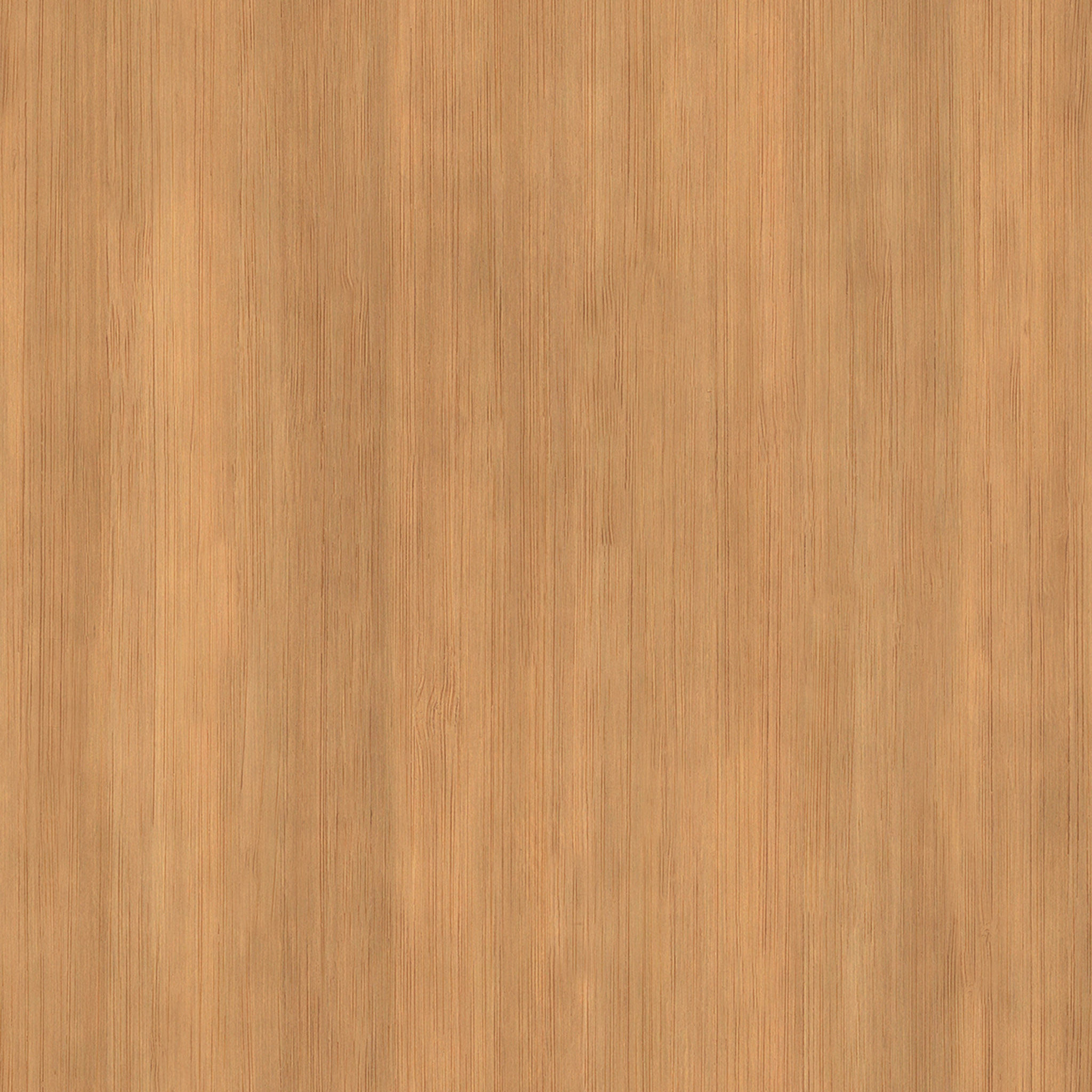  Marte Lounge Chair thumbnail 5