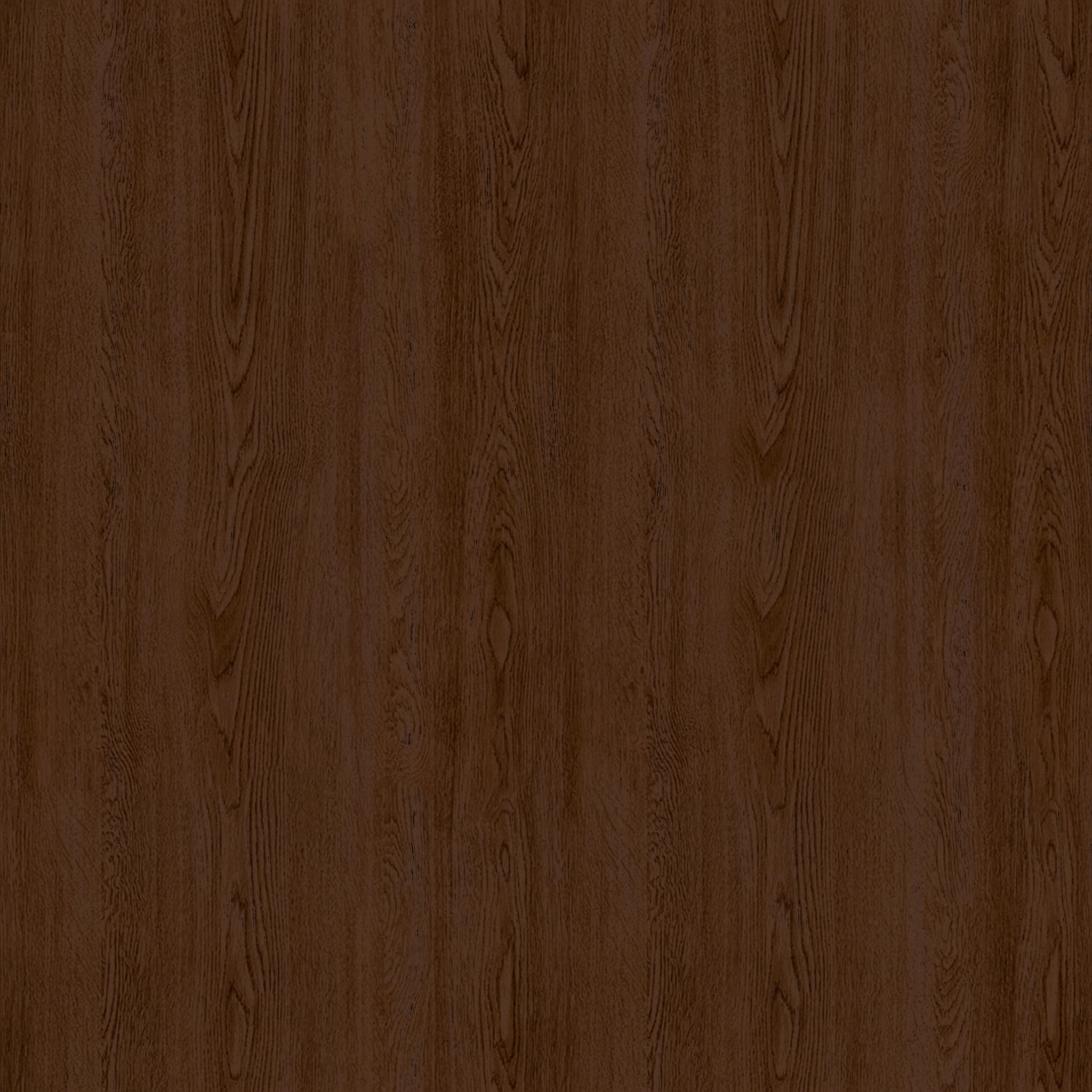 Thetis Charme Tan Chair thumbnail 7