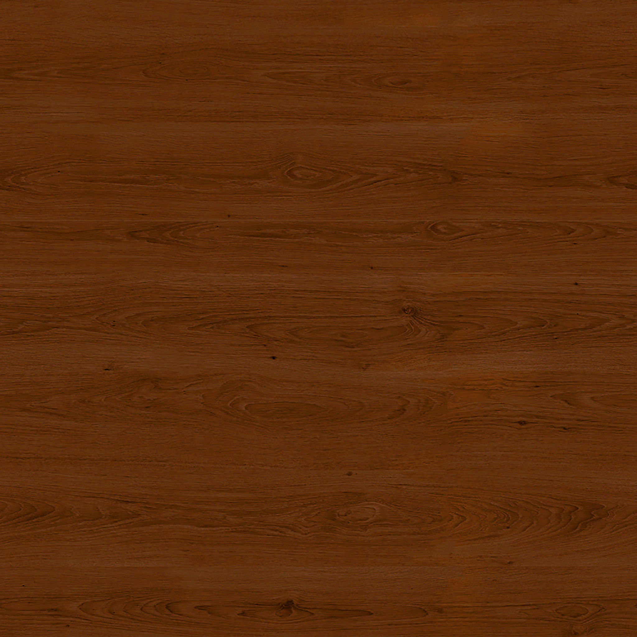 Mid Century Modern Petal Dining Chair thumbnail 3