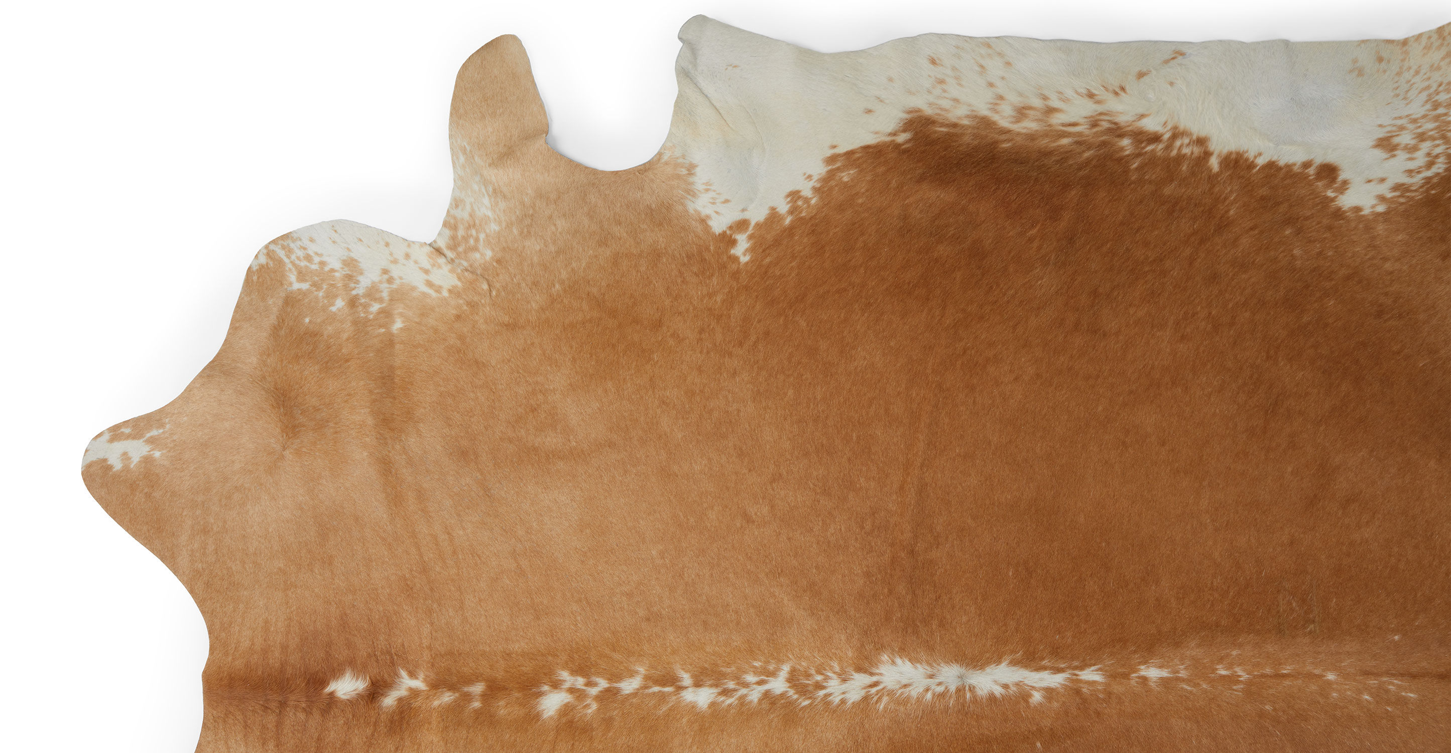 Cossa Cowhide Brown Rug-5'x8' thumbnail 3
