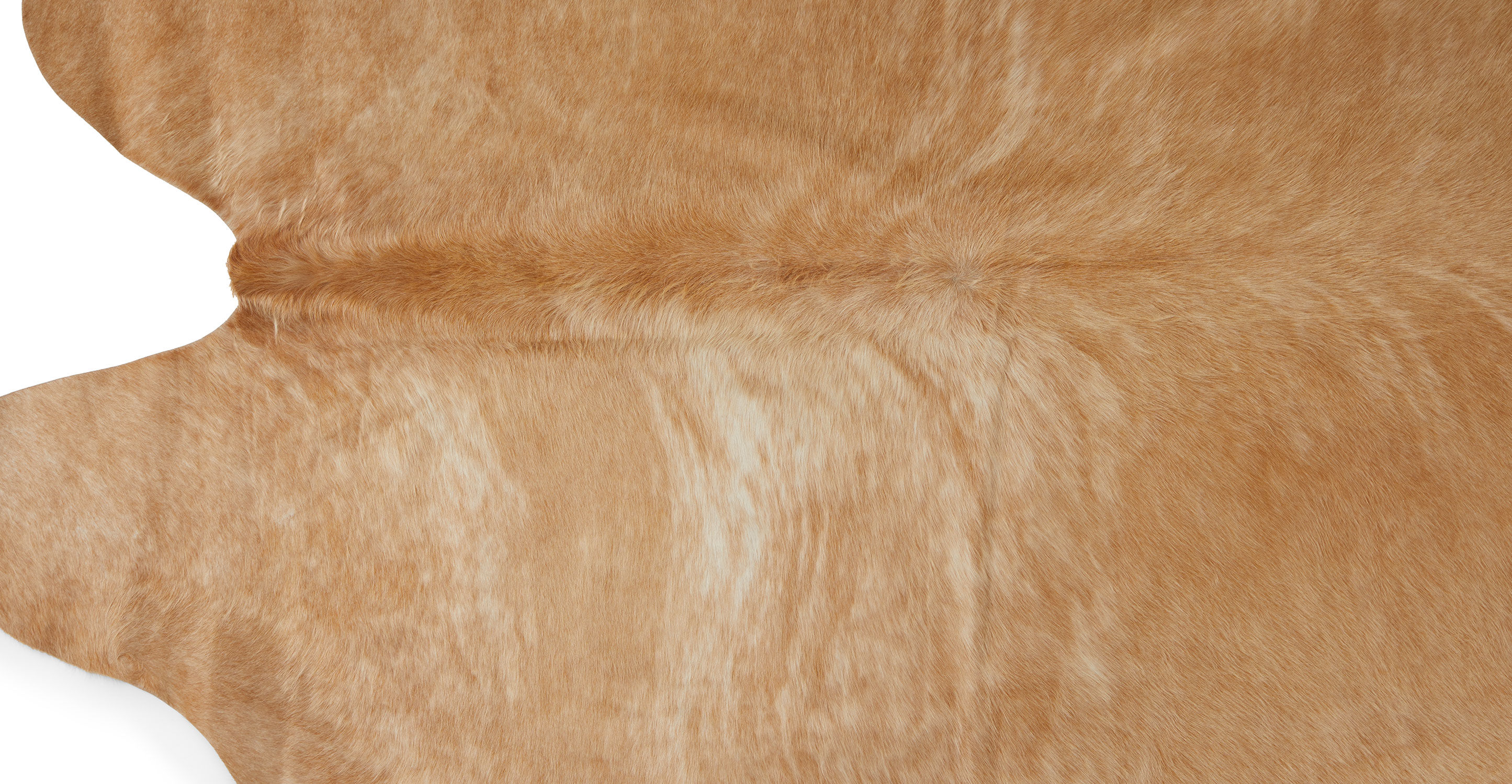 Cossa Cowhide Brown Rug-5'x8' thumbnail 4