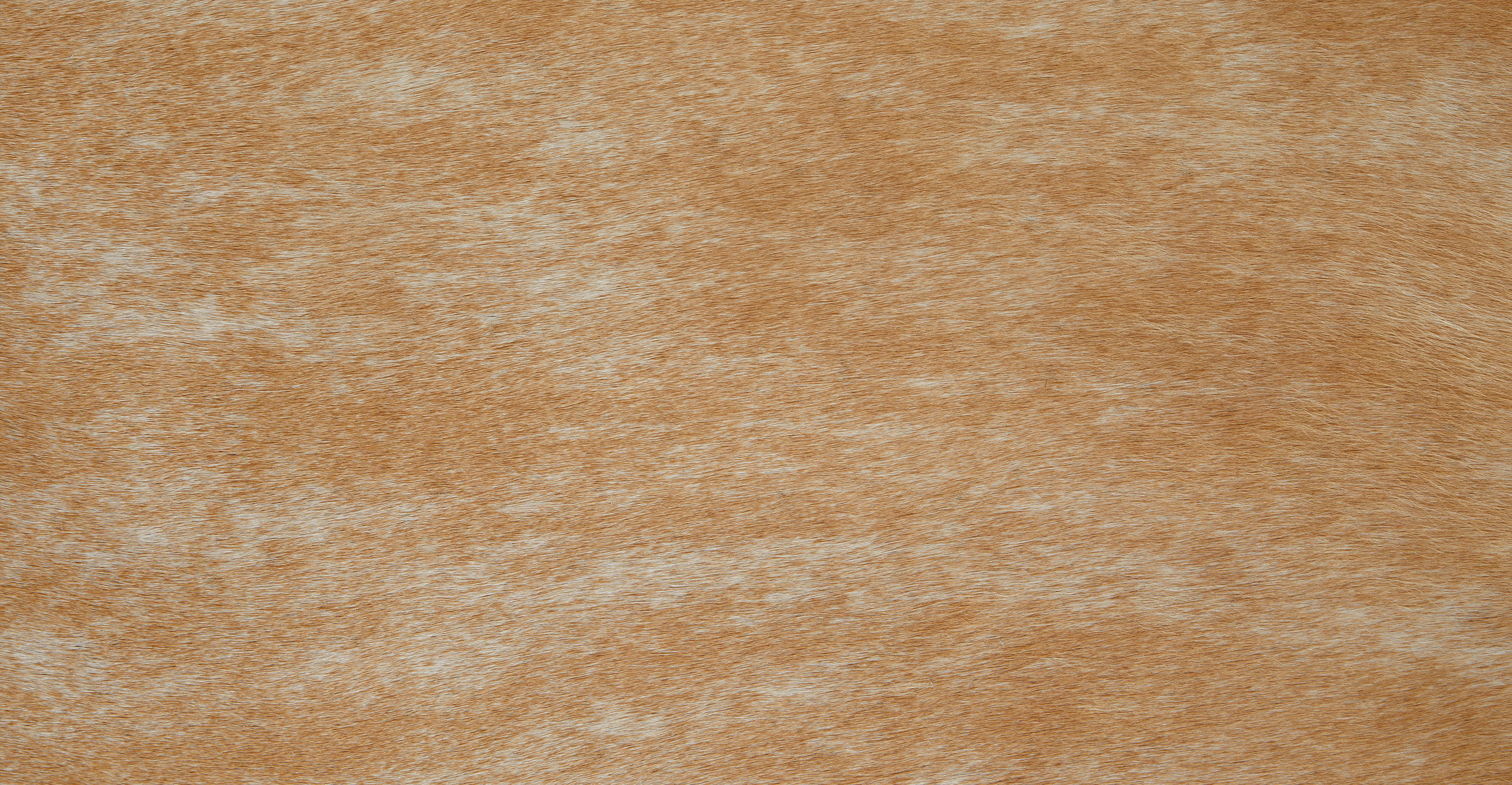 Cossa Cowhide Brown Rug-5'x8' thumbnail 7