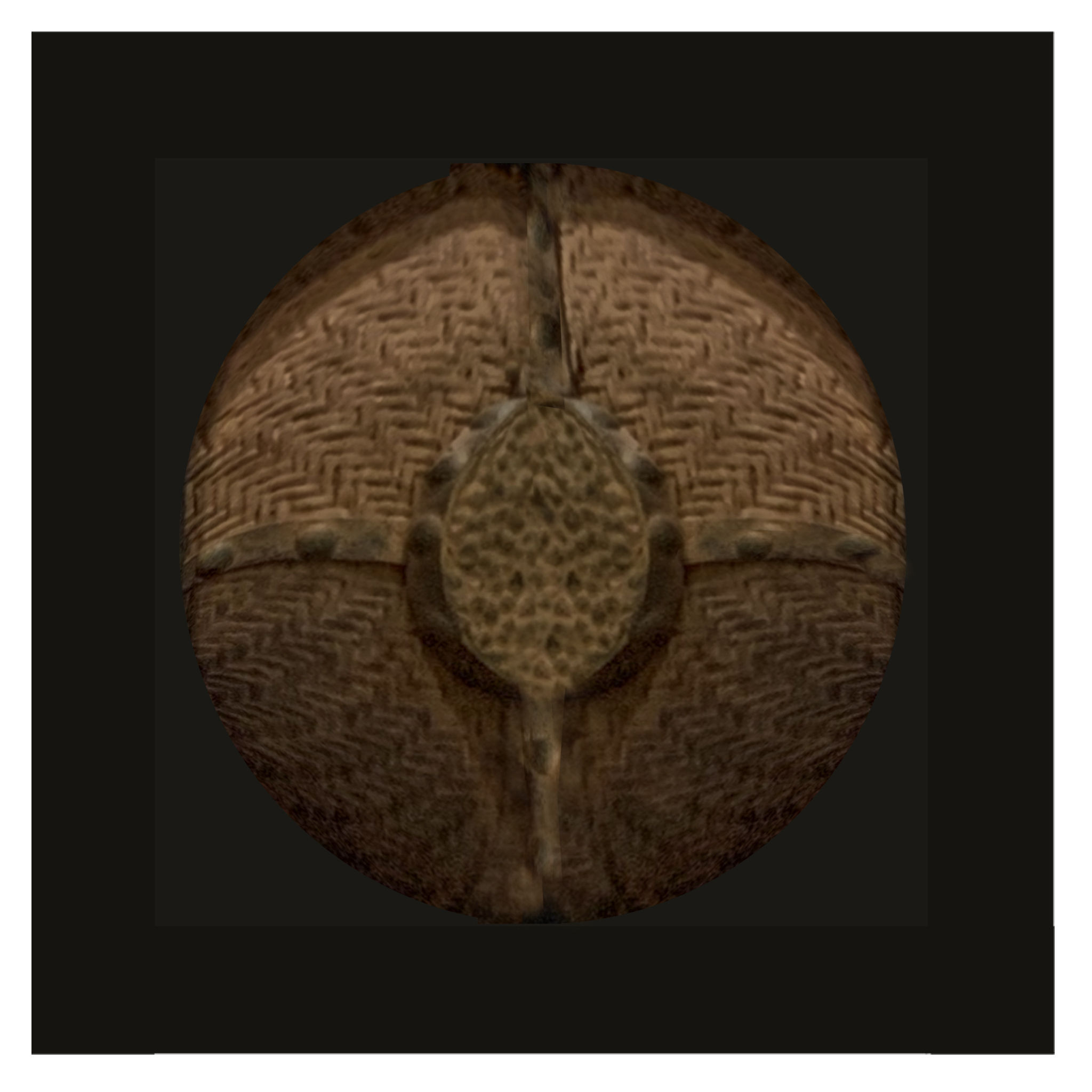 Customer Product Wall art 1 thumbnail 2