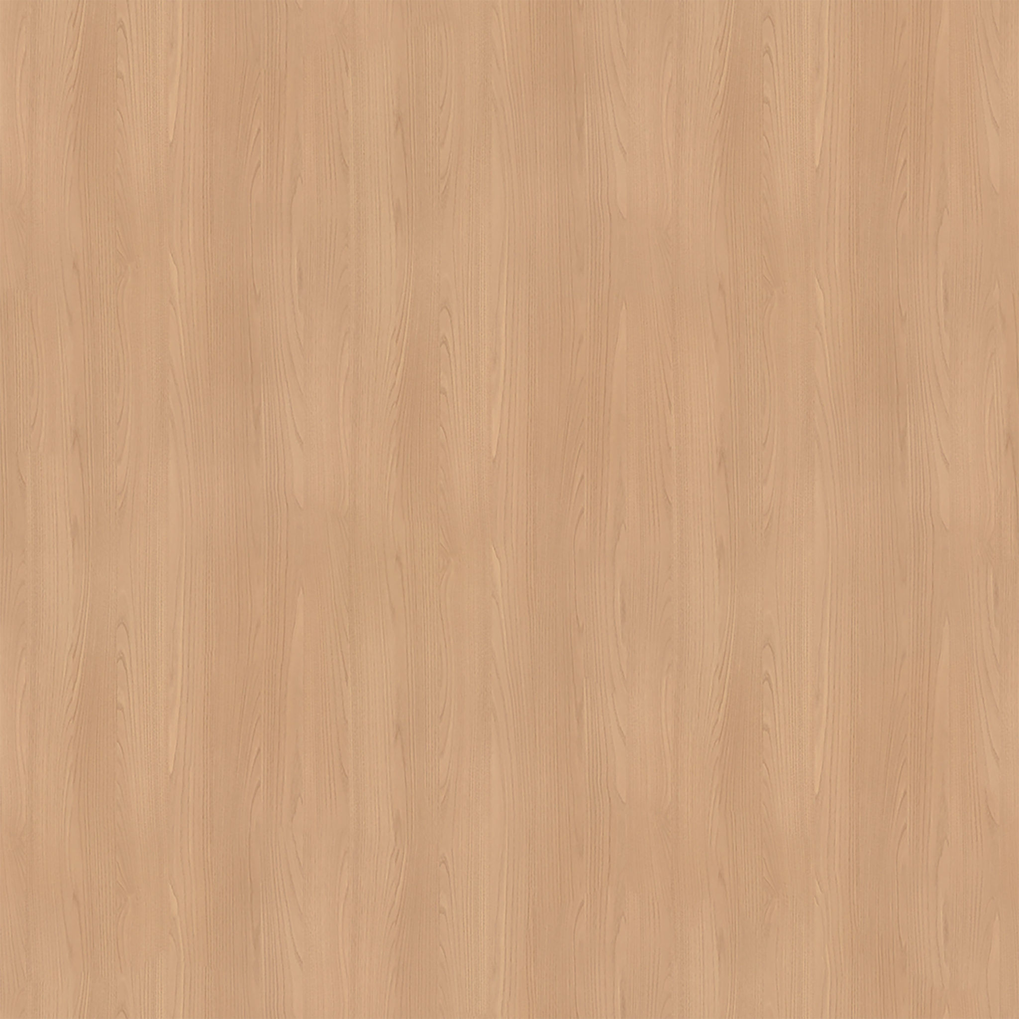 Esse Canyon Tan Light Oak Counter Stool thumbnail 9