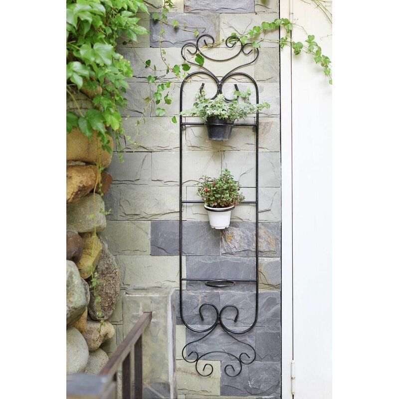 Colona Cast Iron Wall Planter thumbnail 2