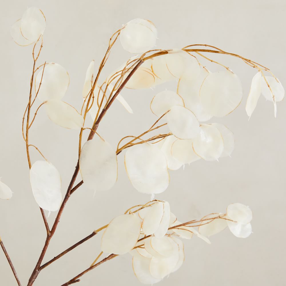 Faux Lunaria Branch thumbnail 4
