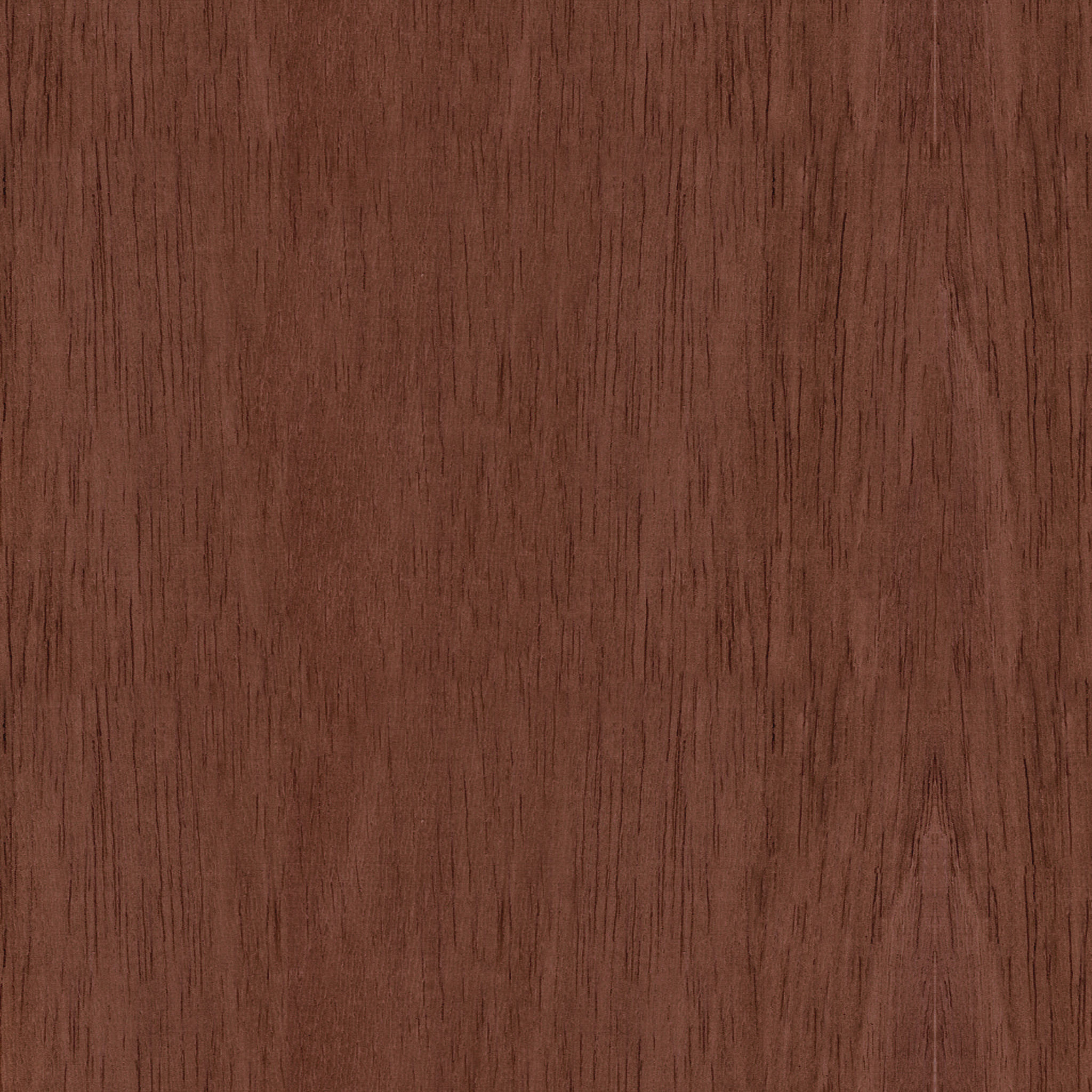 Customer Cabinet thumbnail 2