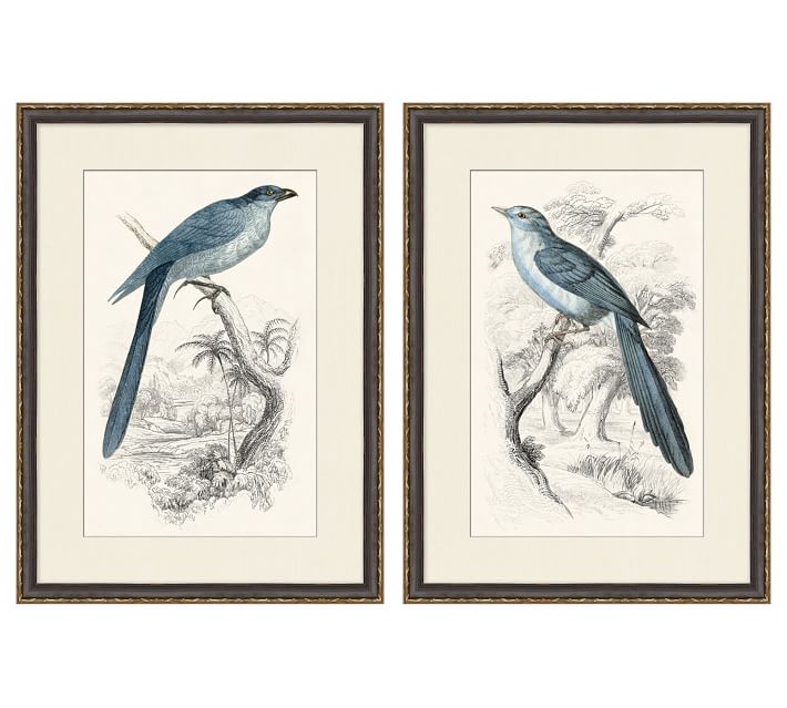 Traditional Bird Framed Paper Prints thumbnail 2