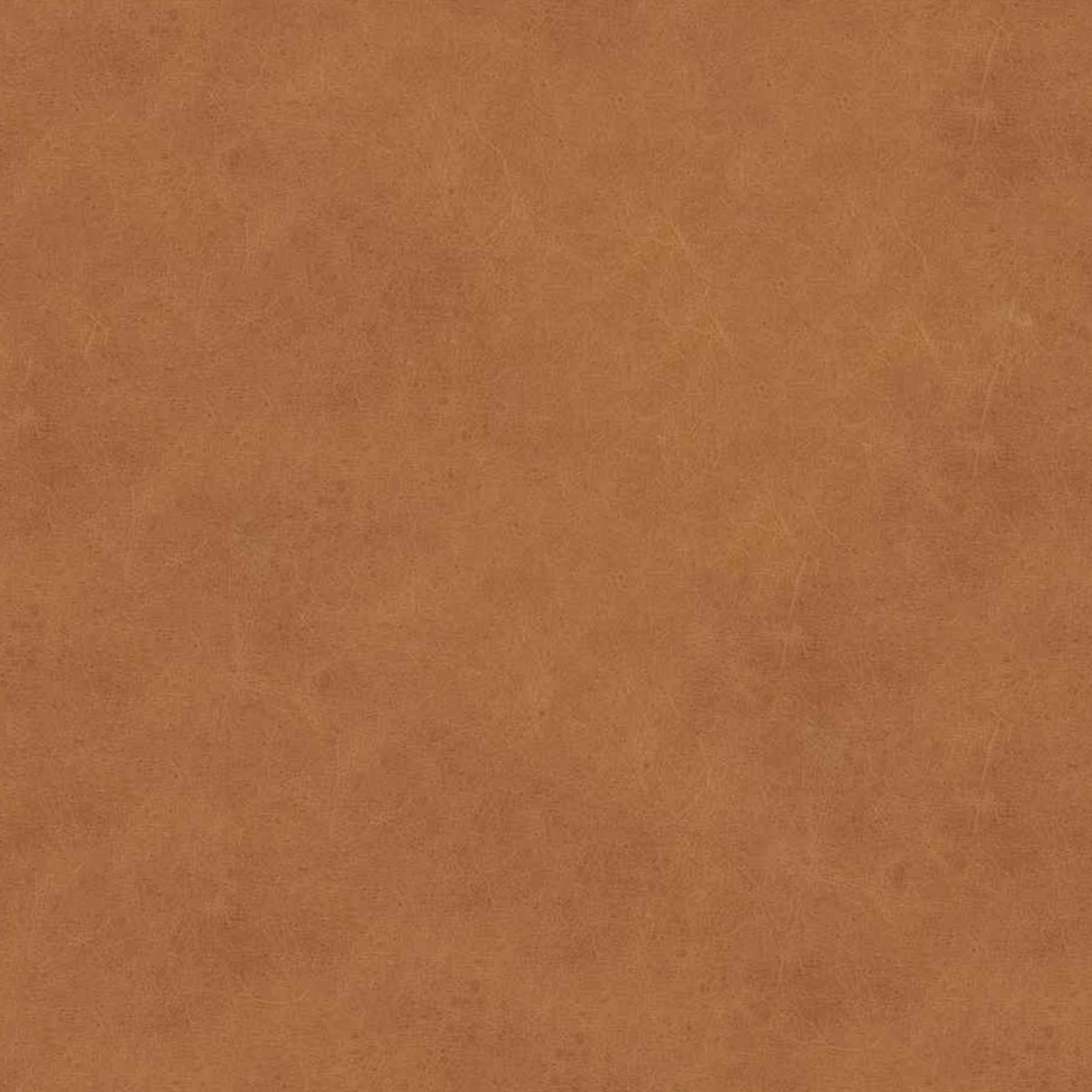 TIMBER CHARME TAN SOFA thumbnail 8