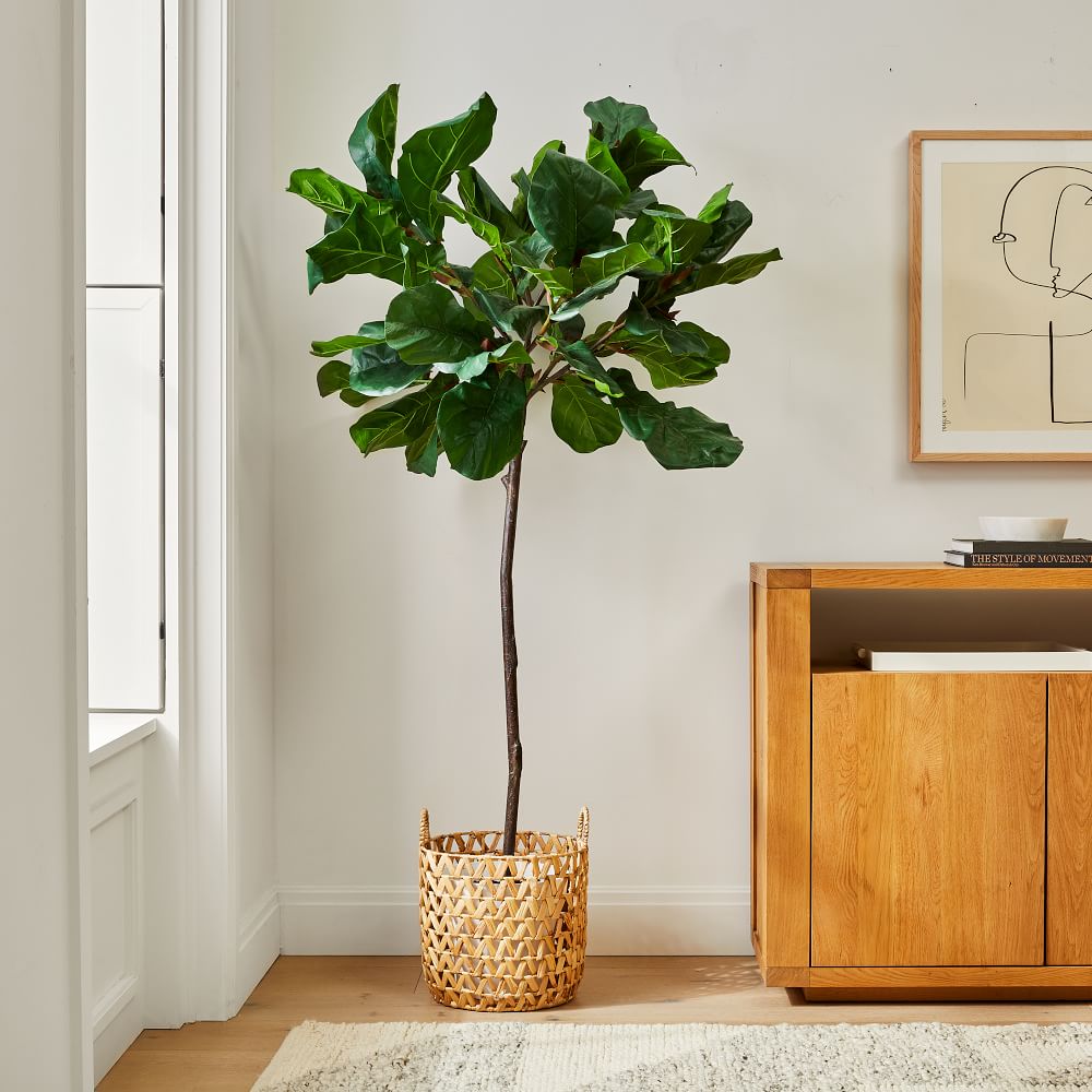 Fiddle Leaf Fig Tree And Open Weave Zigzag Basket Planter Set thumbnail 2