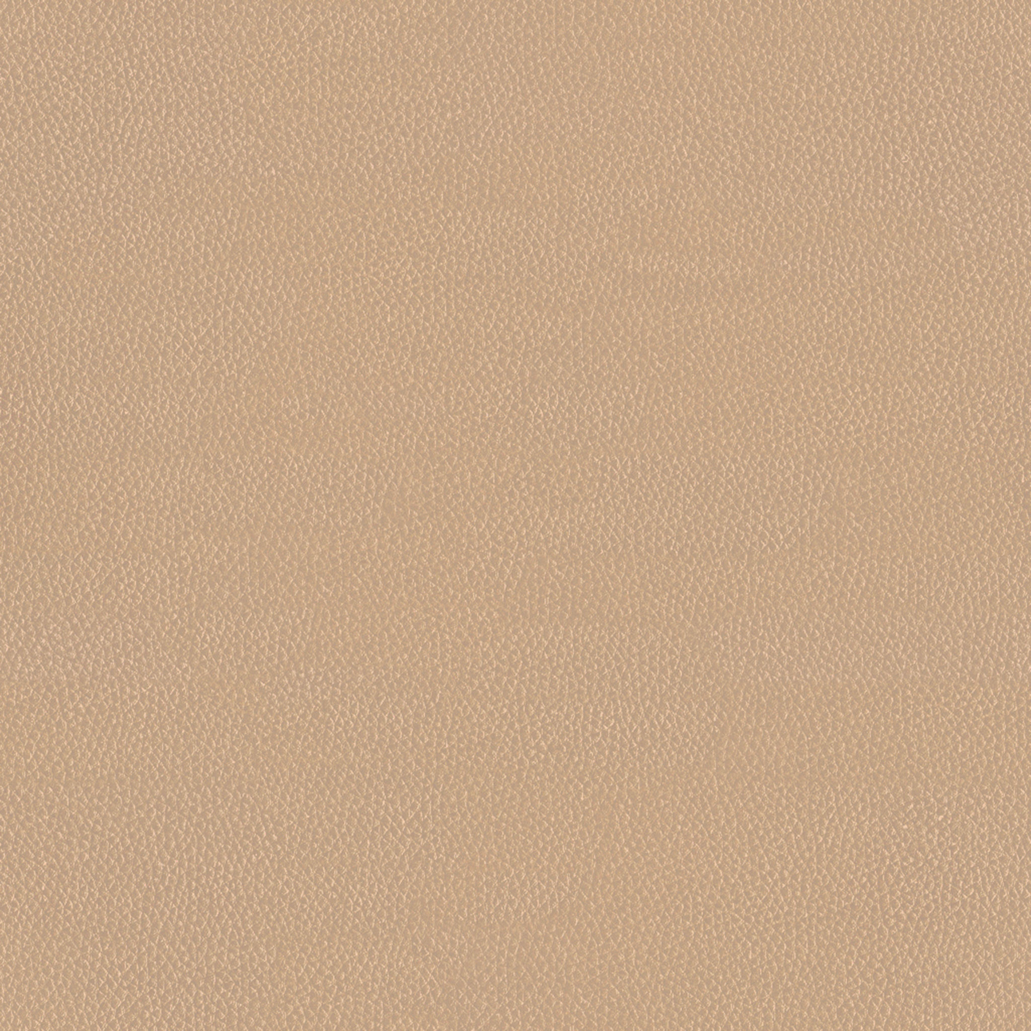 CUSTOMER_SOFA thumbnail 2