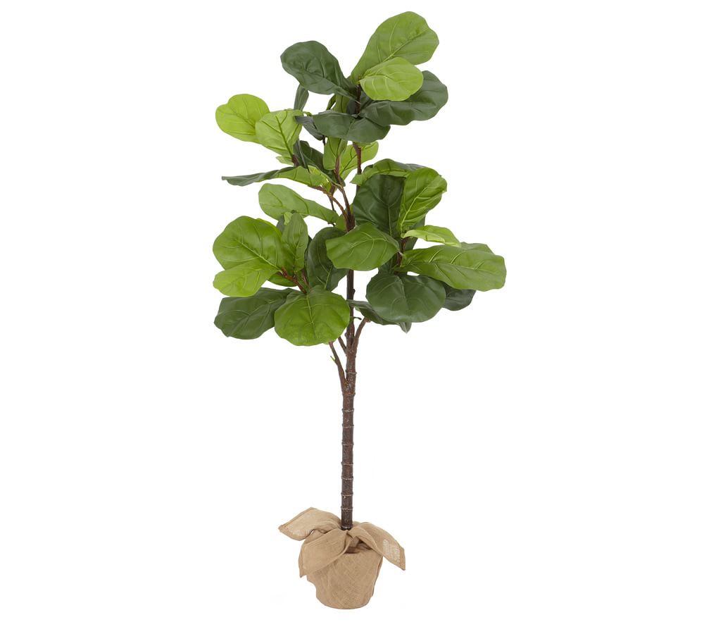 Faux Fiddle Leaf Fig Trees thumbnail 2