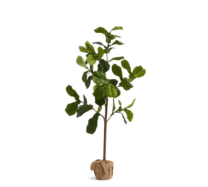 Faux Fiddle Leaf Fig Trees thumbnail 2