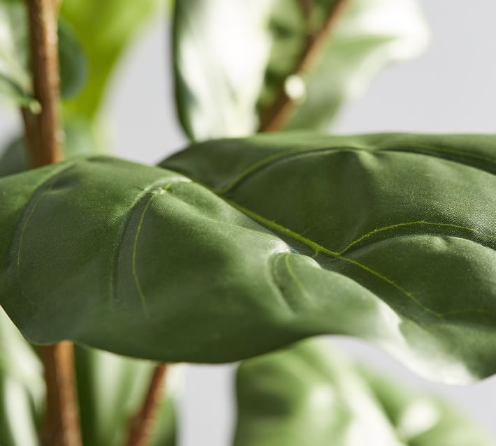 Faux Fiddle Leaf Fig Trees thumbnail 4