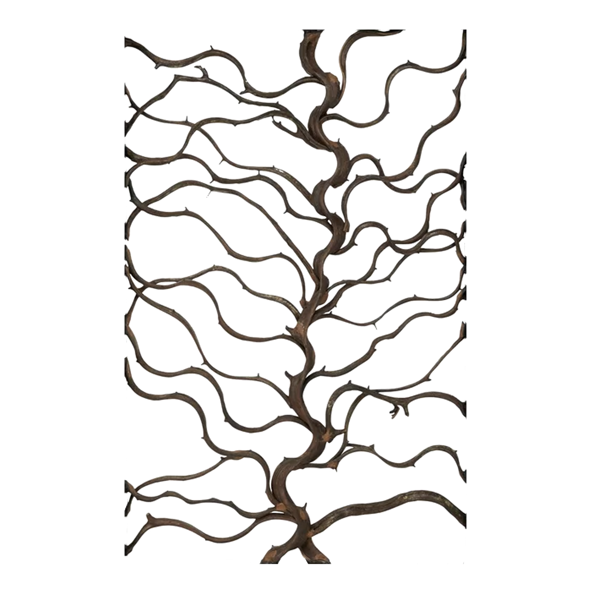Rectangular Bauhinia and Teak Wood Wall Decor thumbnail 8