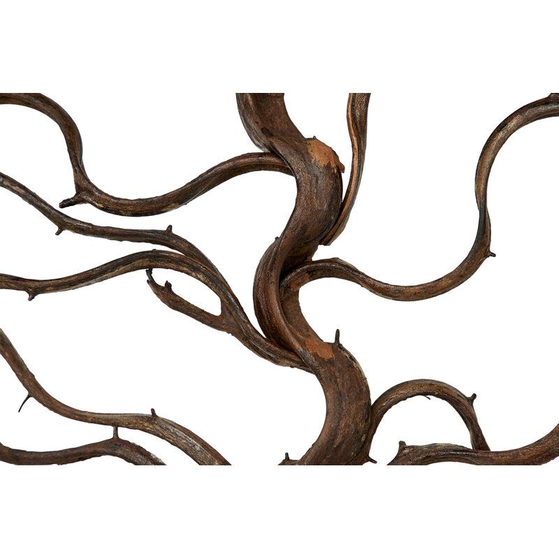 Rectangular Bauhinia and Teak Wood Wall Decor thumbnail 3
