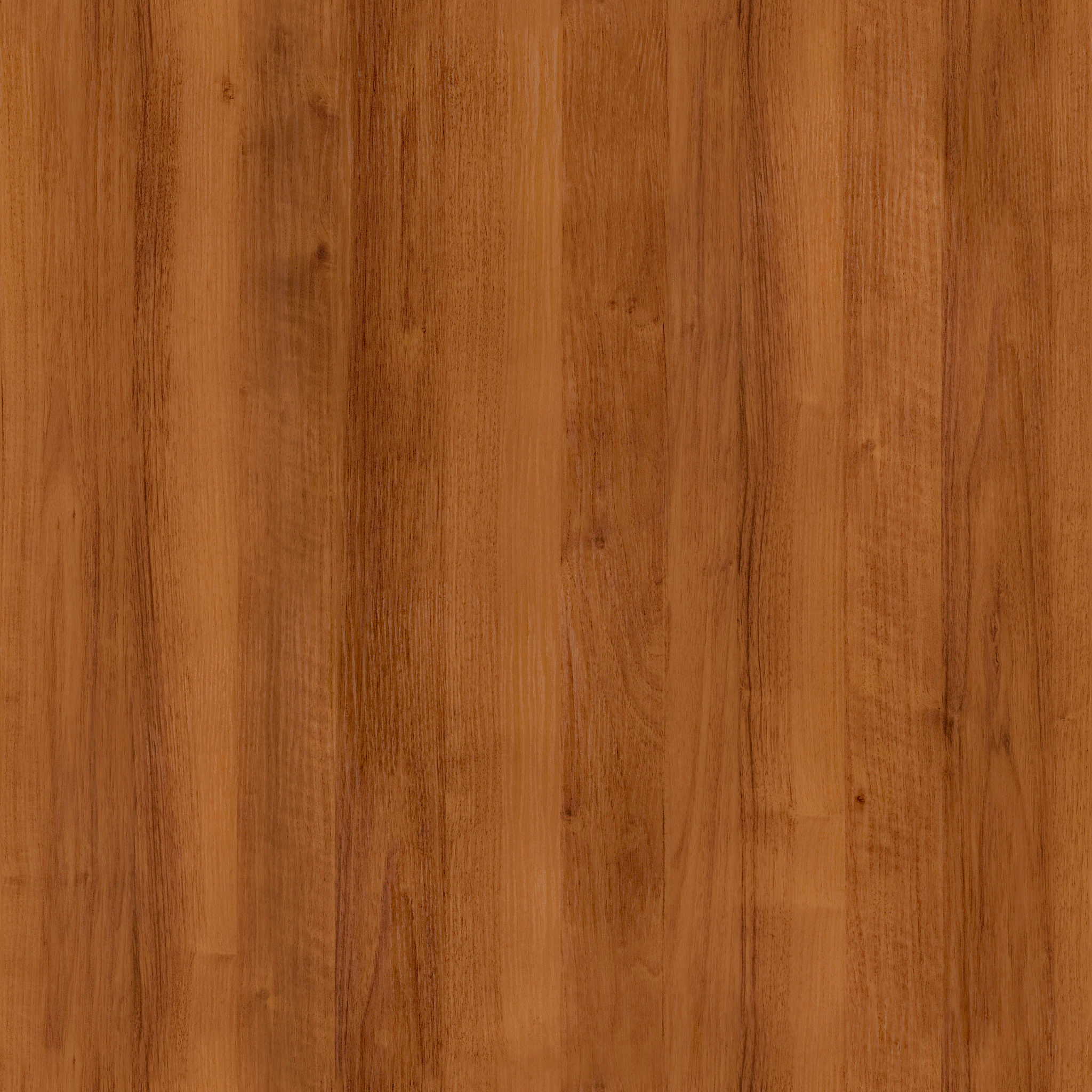 CUSTOMER LEATHER CHAIRS thumbnail 3
