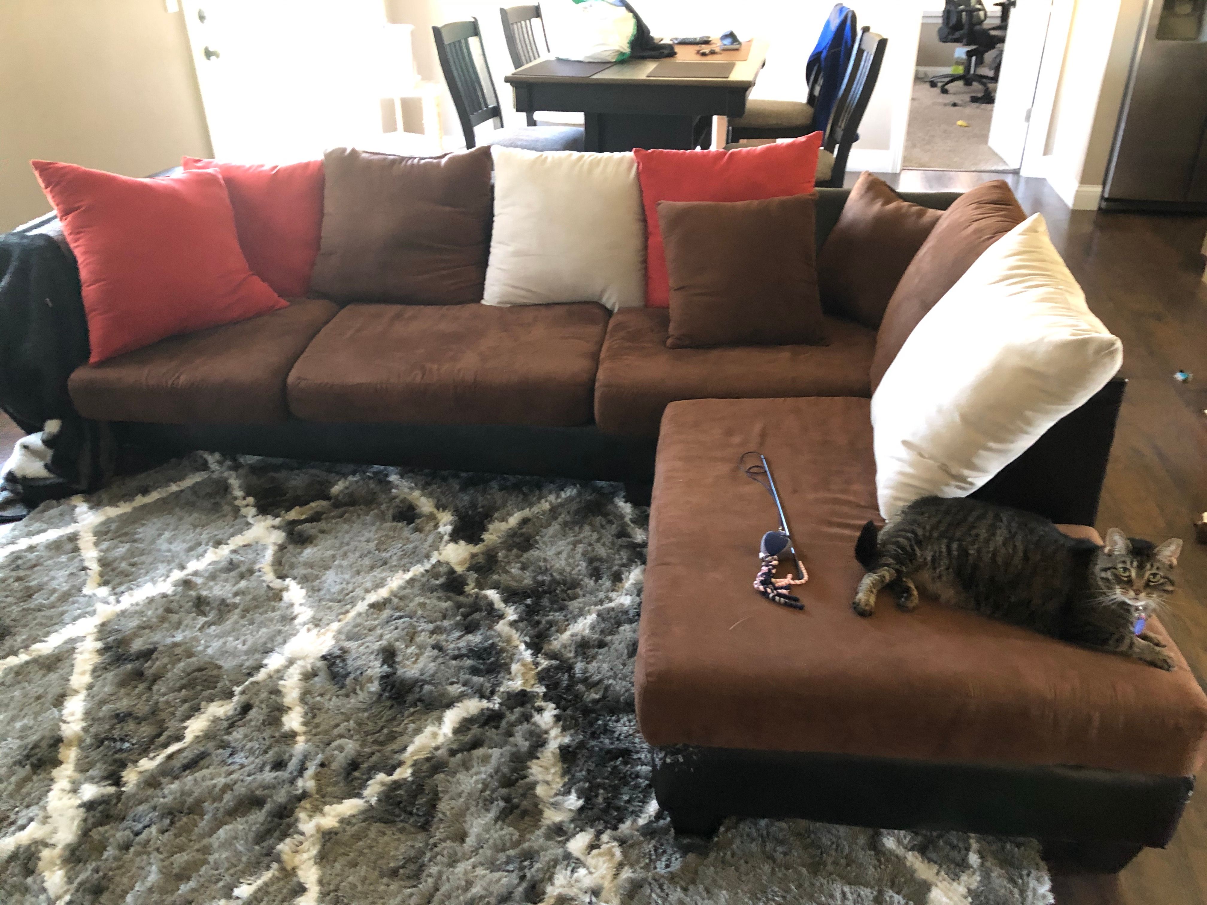 CUSTOMER COUCH thumbnail 2