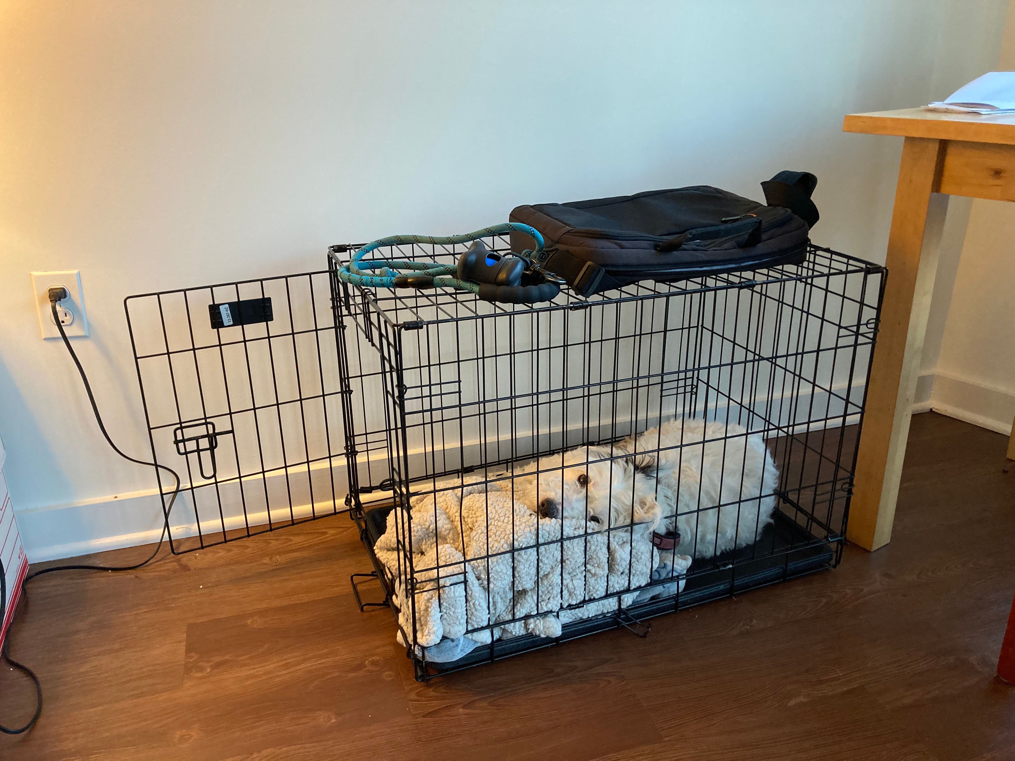 DOG CRATE CUSTOMER thumbnail 2