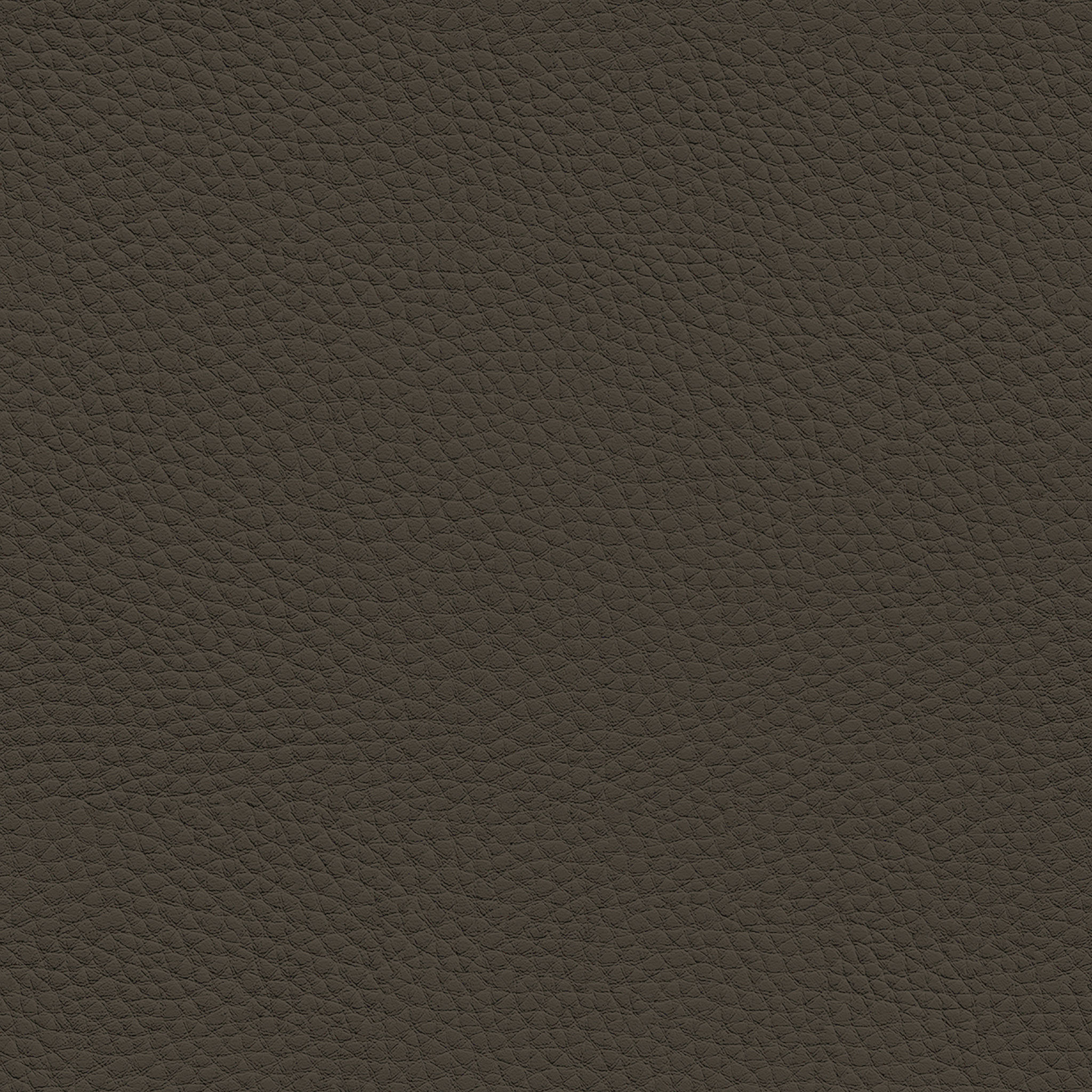 CUSTOMER COUCH thumbnail 2