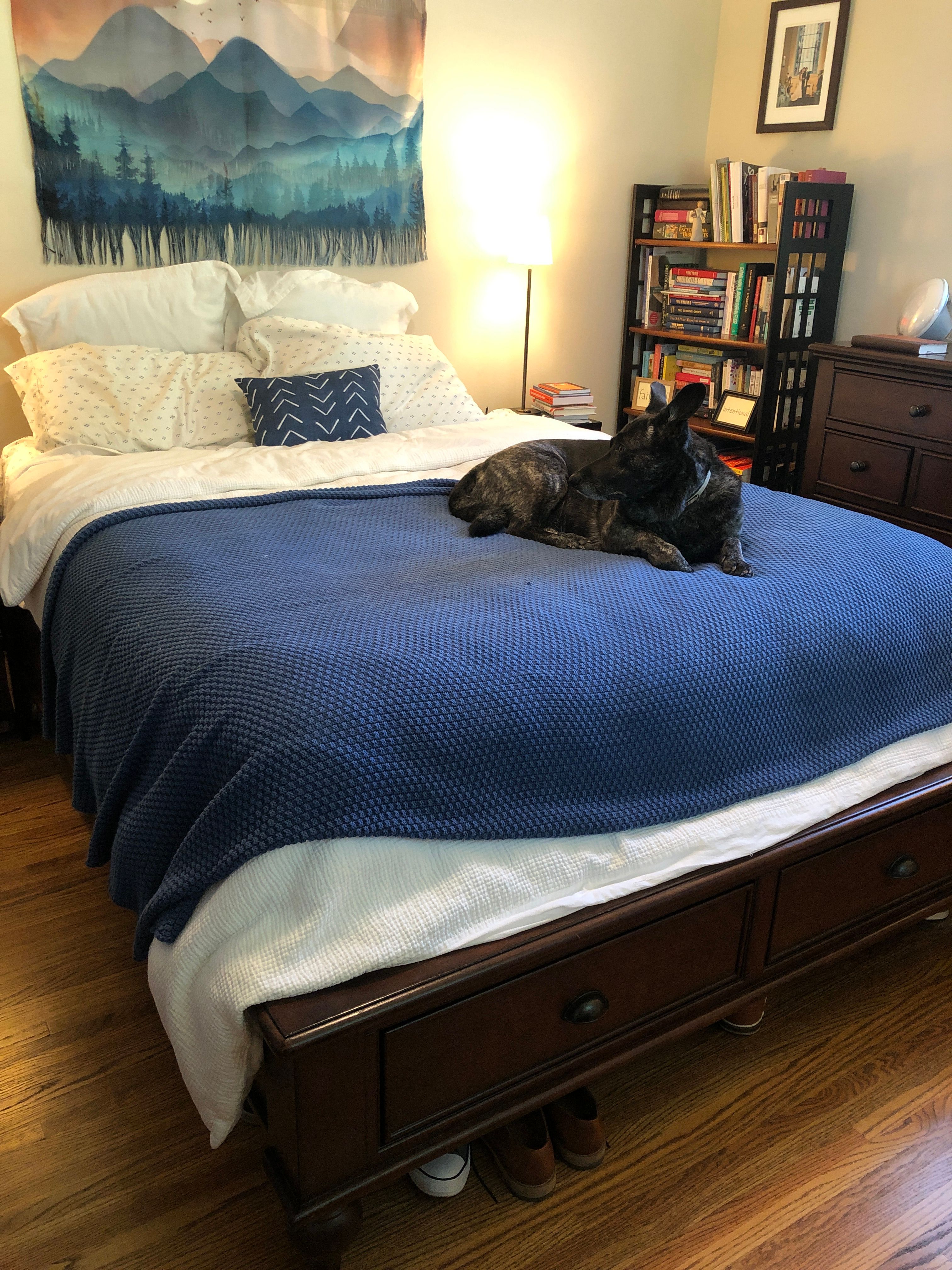 CUSTOMER BED thumbnail 2