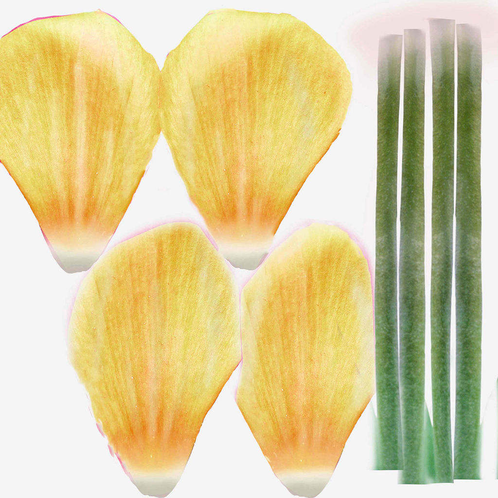 Real Touch Lifelike Faux Tulips Spray thumbnail 4