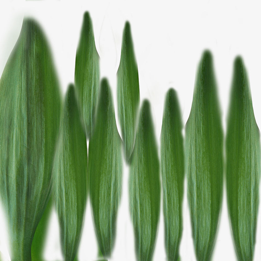 Real Touch Lifelike Faux Tulips Spray thumbnail 5