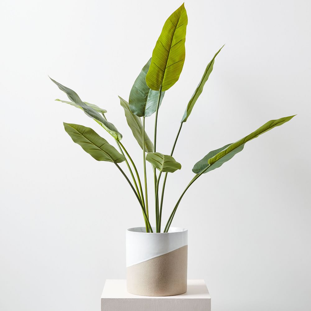 Faux Potted Bird of Paradise Plant thumbnail 2