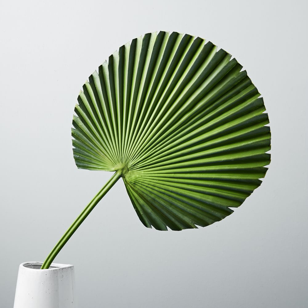 Faux Botanicals - Fan Palm thumbnail 2