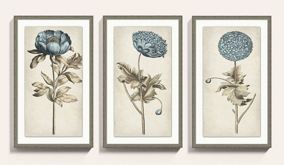SCENTS OF BLUE ART PRINT 3 WITH FRAME thumbnail 2