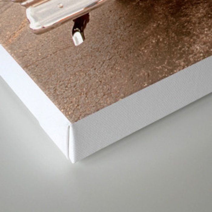TIGER MOTEL CANVAS PRINT UNFRAME thumbnail 2