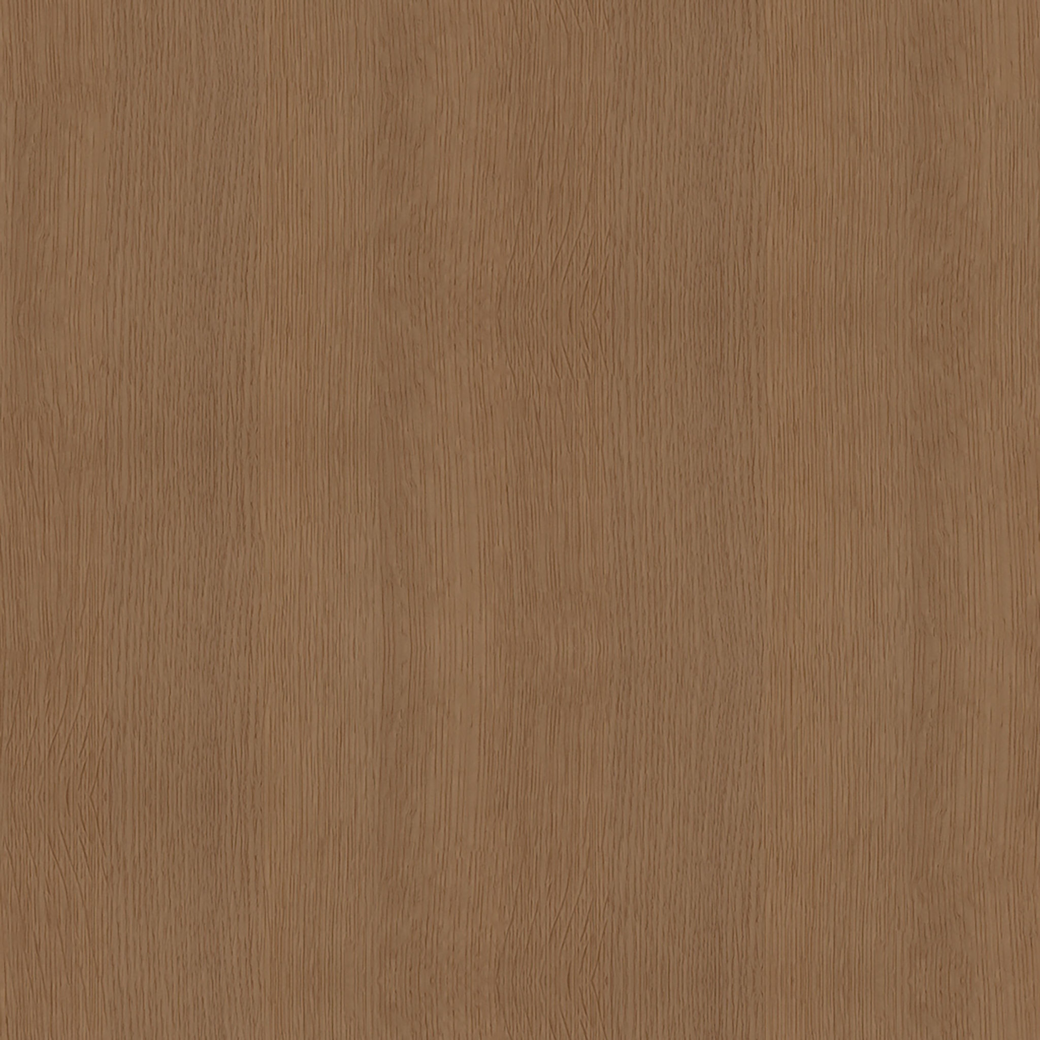Barbuda Upholstered Dining Armchair thumbnail 5