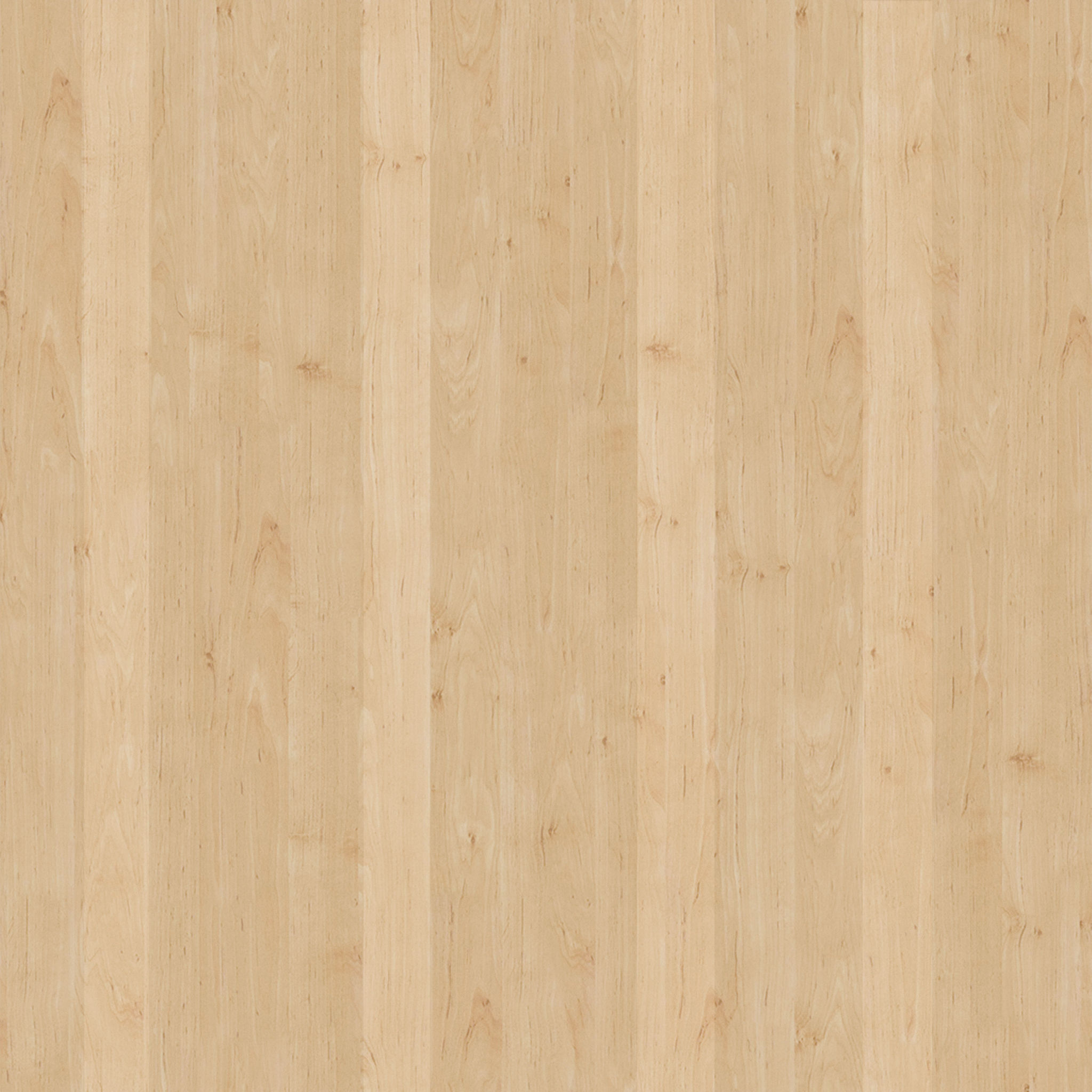 Customer_Dining chair thumbnail 2