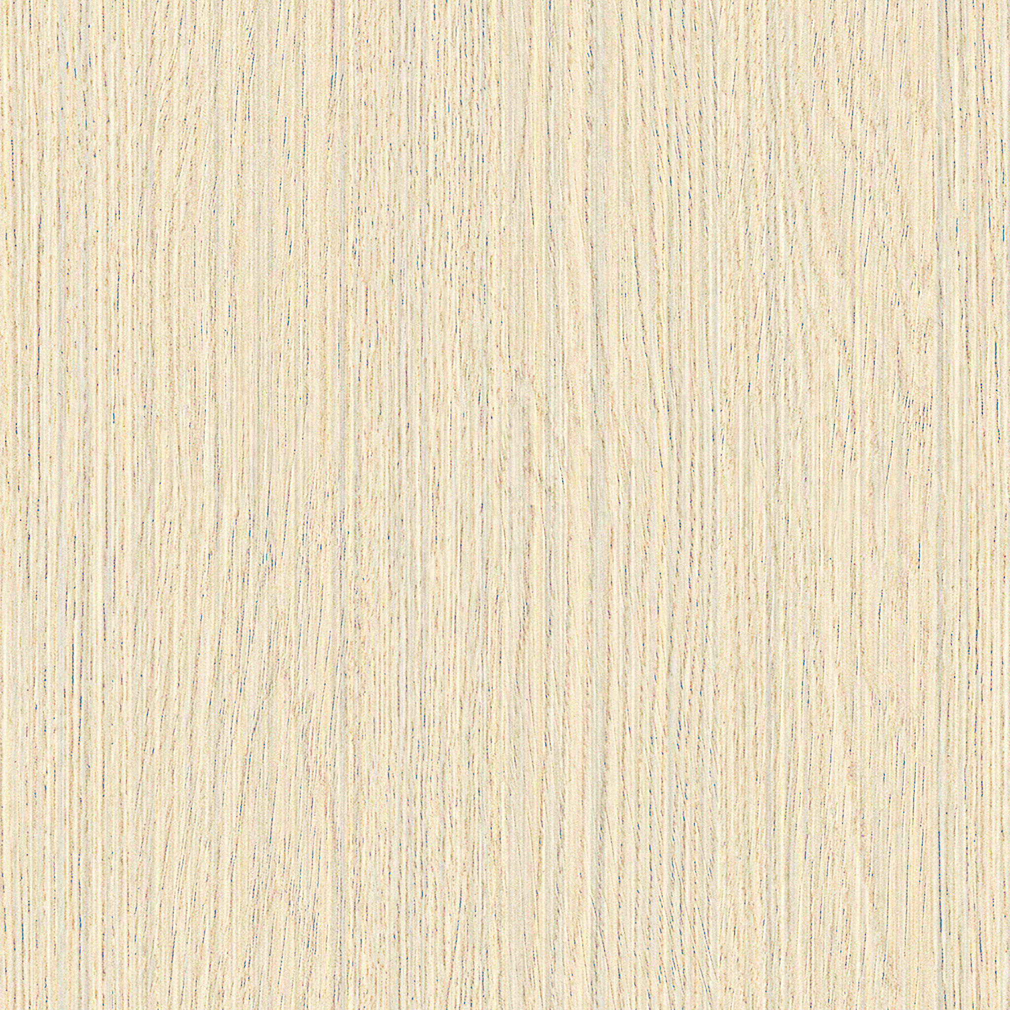 Customer Product Dog food tray thumbnail 2